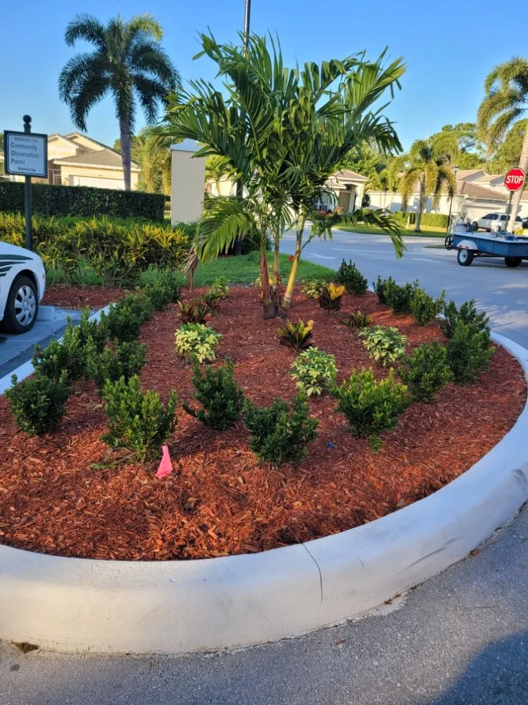 Affordable outdoor landscaping for beautiful yards across port st lucie, FL - Native Control Services