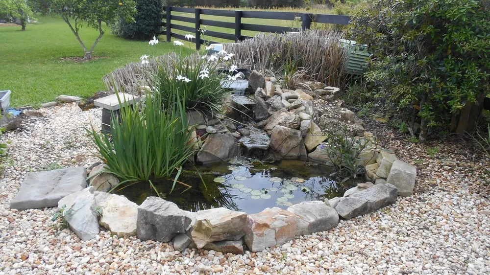 Local yard maintenance in The Villages, FL by Native Cuts Landscaping & Lawn Care