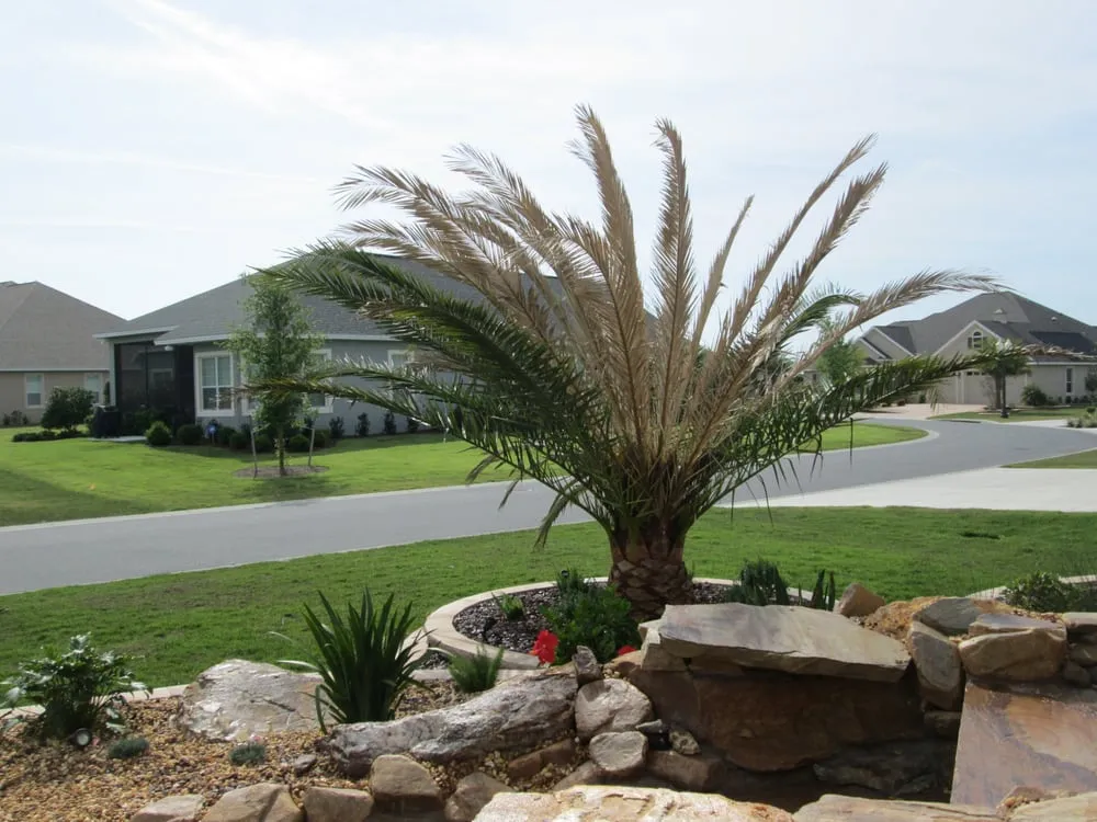 Custom residential landscaping experts serving The Villages, FL - Native Cuts Landscaping & Lawn Care