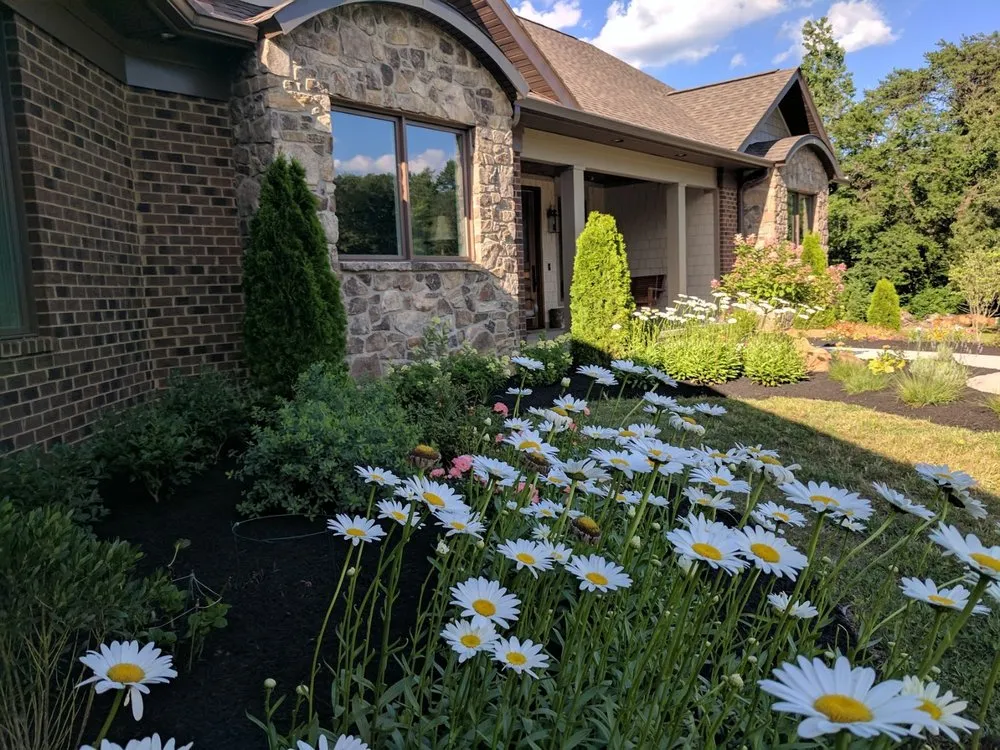 Affordable lawn care service for residential properties across Louisville, TN - Native Design & Hardscape