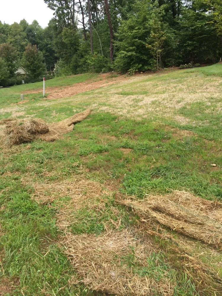 Affordable outdoor landscaping in Knoxville, TN - Native Design & Restoration Landscapes, LLC