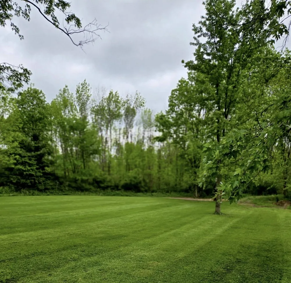 Affordable yard cleanup service with custom design across Garrettsville, OH - Native Design Landscaping