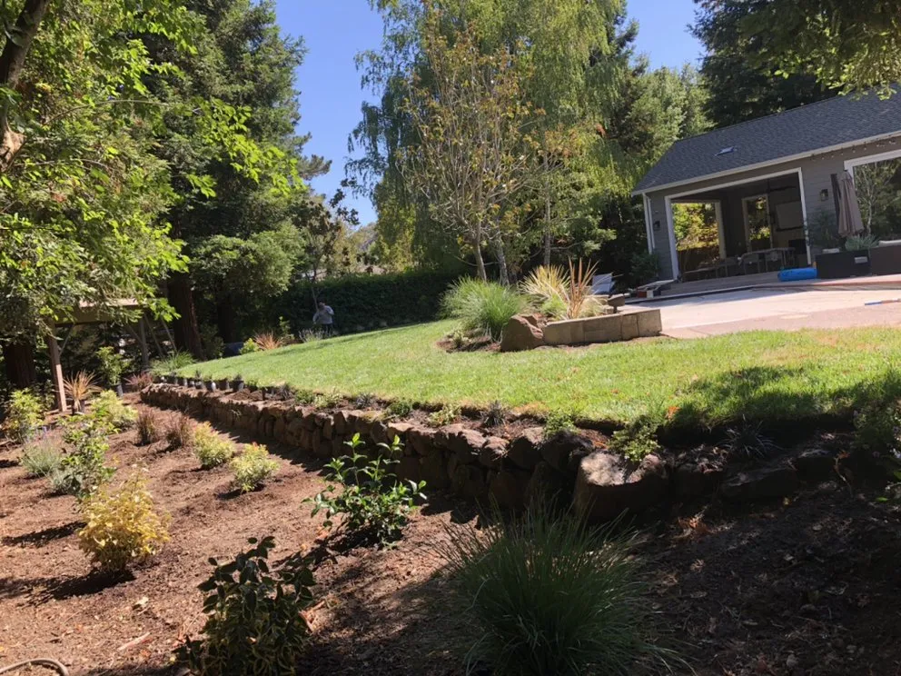 Trusted lawn mowing service for residential properties across Concord, CA - Native Earth