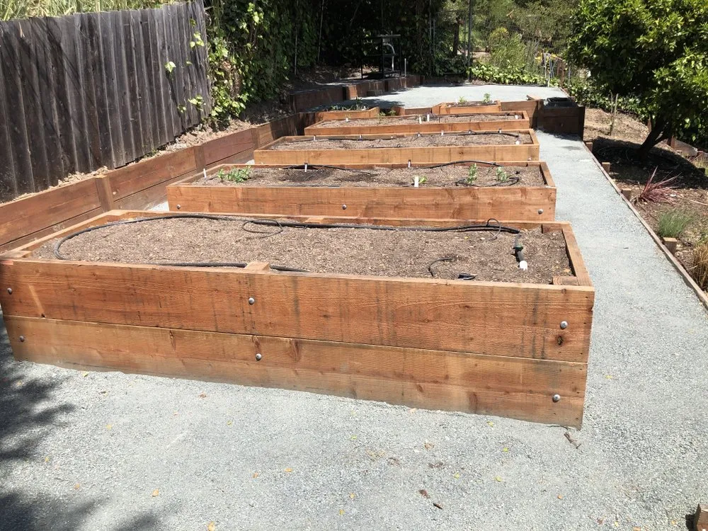 Custom landscaping services in Concord, CA - Native Earth