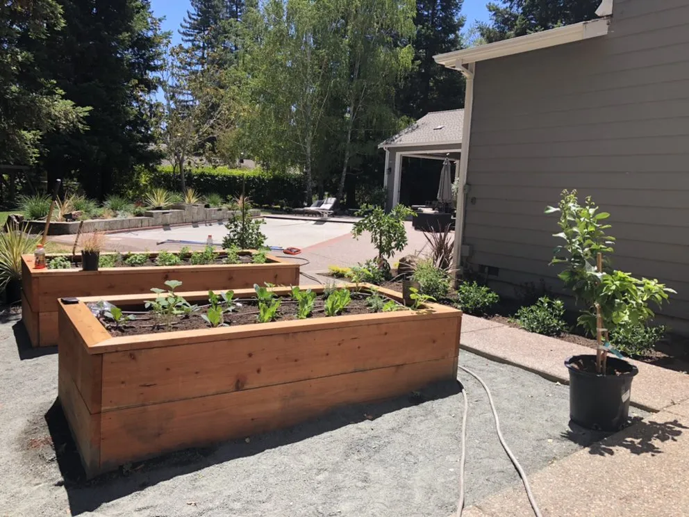 Professional residential landscaping in Concord, CA - Native Earth