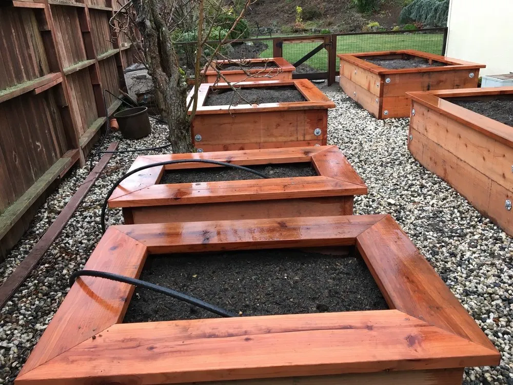 Top-rated residential landscaping in Concord, CA by Native Earth