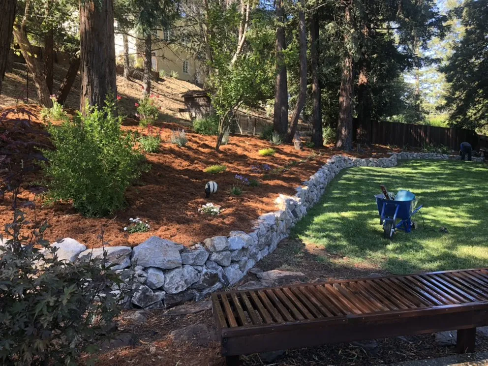 Local residential landscaping for beautiful yards in Concord, CA by Native Earth