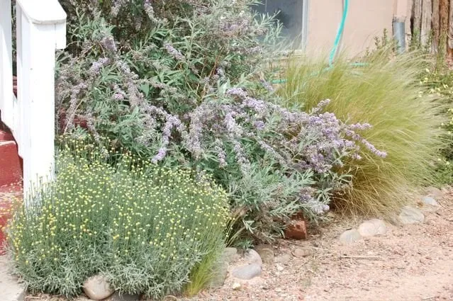 Custom yard cleanup service in Santa Fe, NM by Native Earth Landscaping