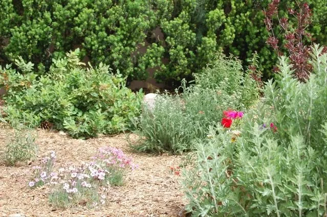 Reliable lawn mowing service with custom design across Santa Fe, NM - Native Earth Landscaping