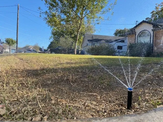 Expert landscaping services in Canyon Lake, TX - Native Frontier