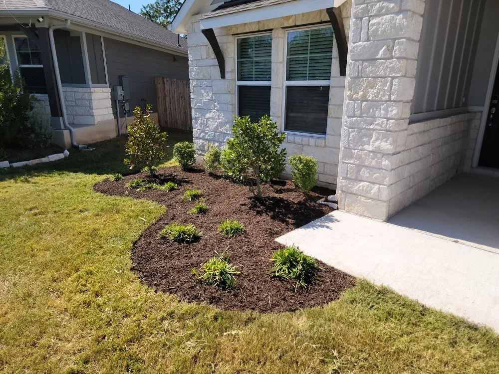 Expert yard cleanup service experts serving Red Rock, TX - Native Garden & Design