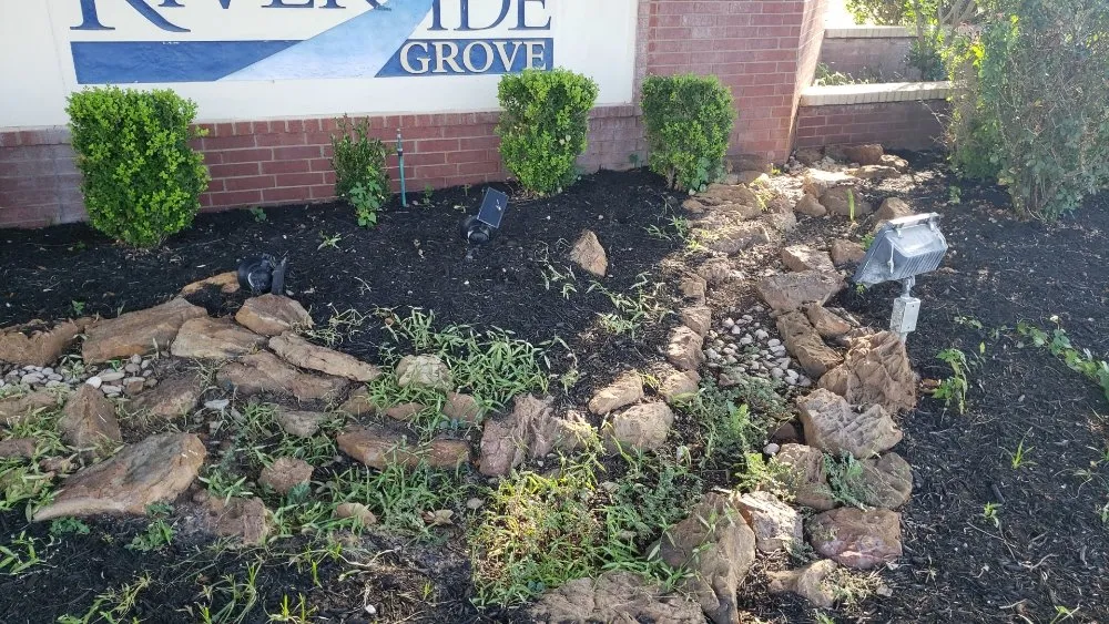 Local yard maintenance experts serving Red Rock, TX - Native Garden & Design