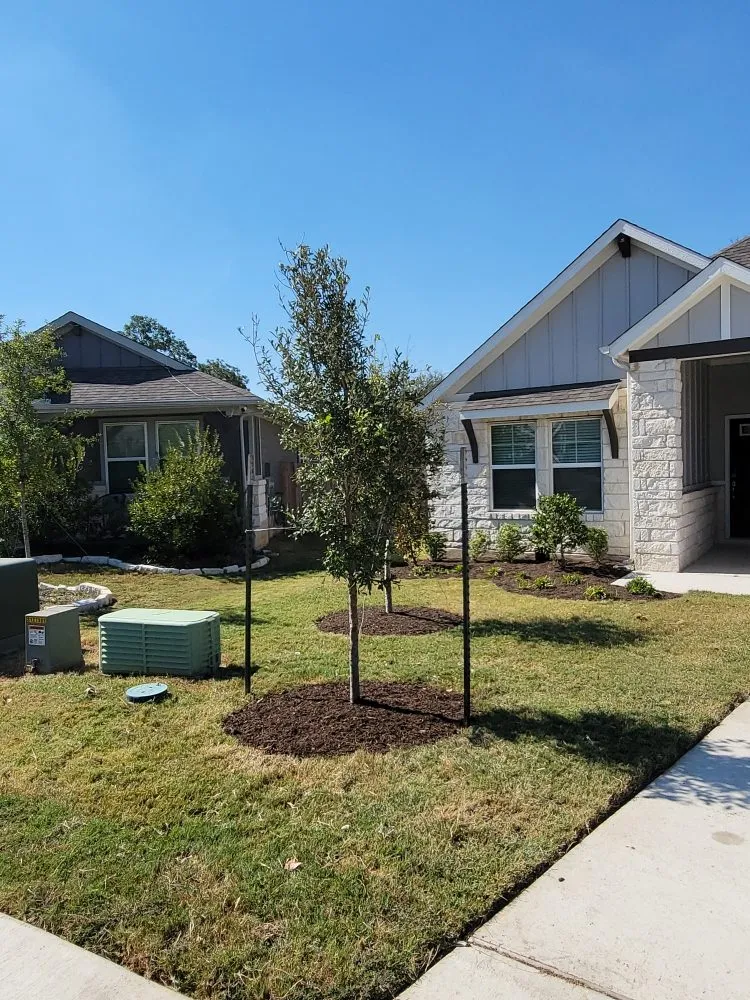Top-rated residential landscaping for homes across Red Rock, TX - Native Garden & Design