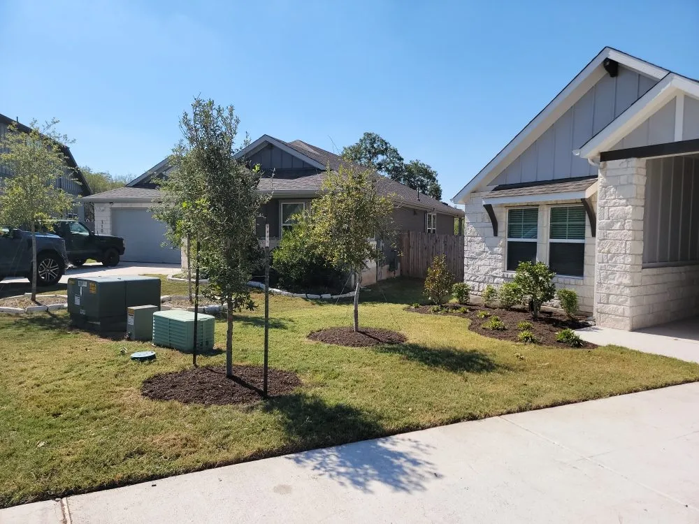 Expert landscaping services for beautiful yards in Red Rock, TX by Native Garden & Design