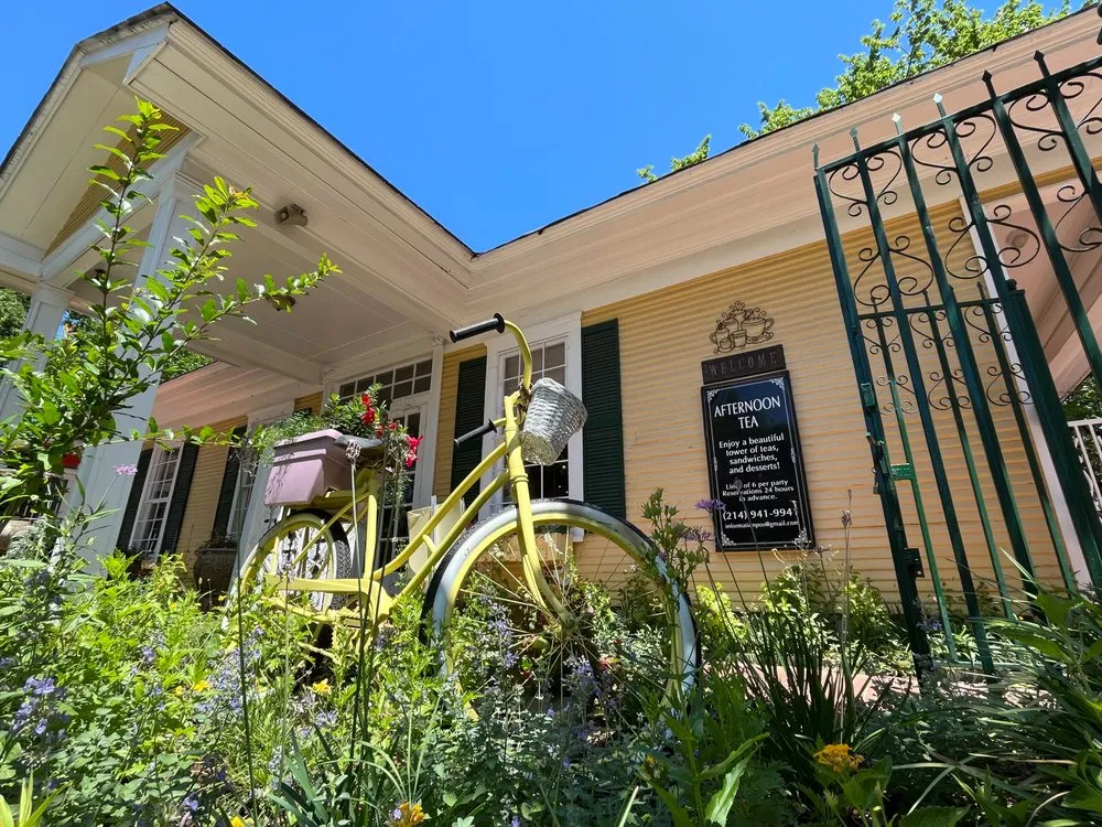 Professional outdoor landscaping for residential properties across Arlington, TX - Native Gardeners