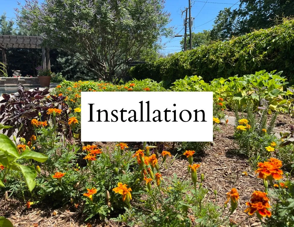 Local yard cleanup service for residential properties across Arlington, TX - Native Gardeners