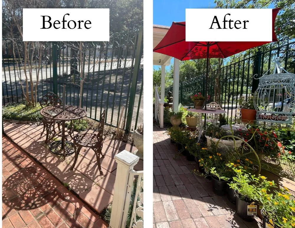 Reliable yard maintenance near you in Arlington, TX by Native Gardeners