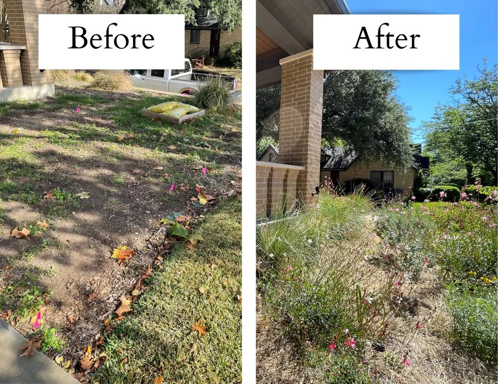 Reliable yard cleanup service in Arlington, TX by Native Gardeners