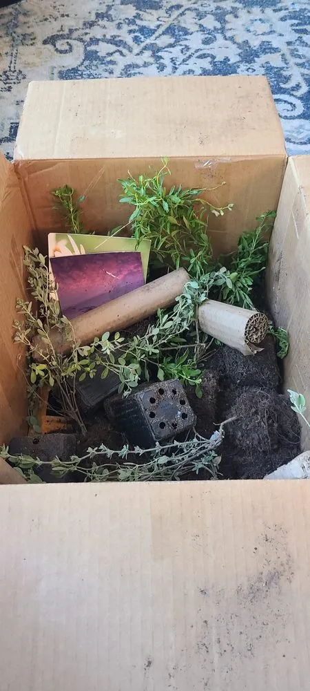 Professional lawn care service for homes across Arlington, TX - Native Gardeners