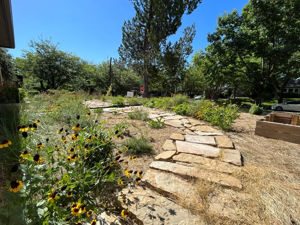 Professional yard maintenance for beautiful yards across Arlington, TX - Native Gardeners