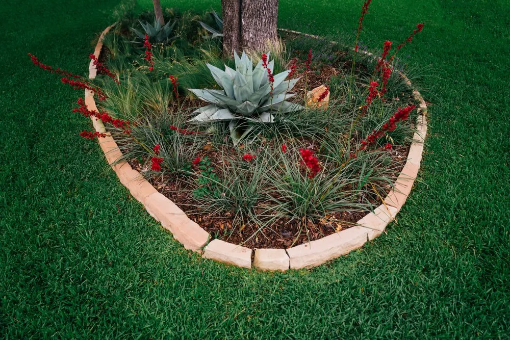 Affordable yard cleanup service in Arlington, TX by Native Gardeners