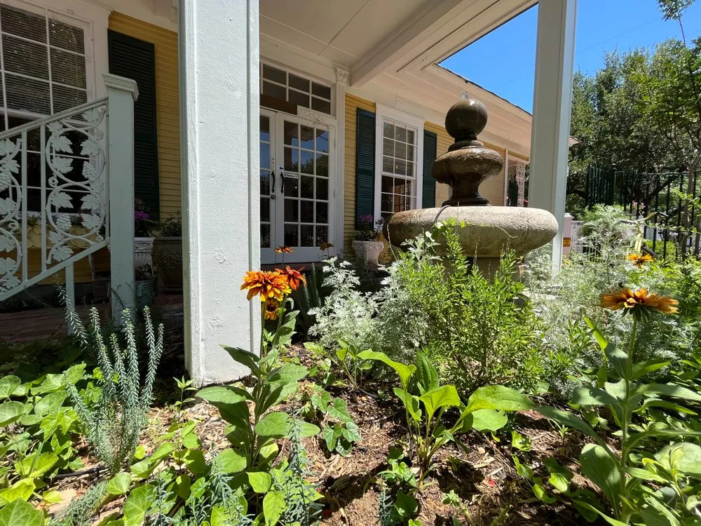 Trusted yard maintenance in Arlington, TX by Native Gardeners