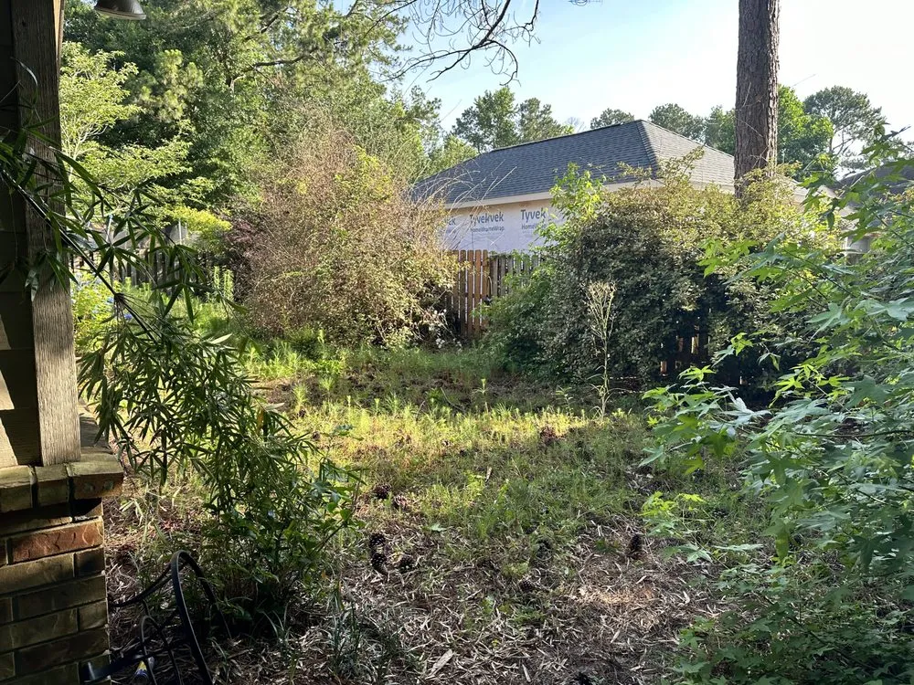 Trusted landscape installation for year-round maintenance in Savannah, GA by Native Ground Landscaping