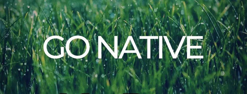 Affordable outdoor landscaping in Savannah, GA - Native Ground Landscaping