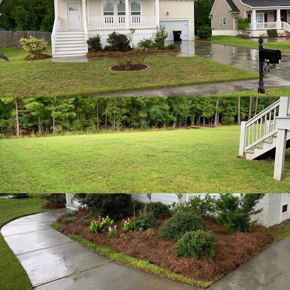 Reliable outdoor landscaping for beautiful yards across Savannah, GA - Native Ground Landscaping