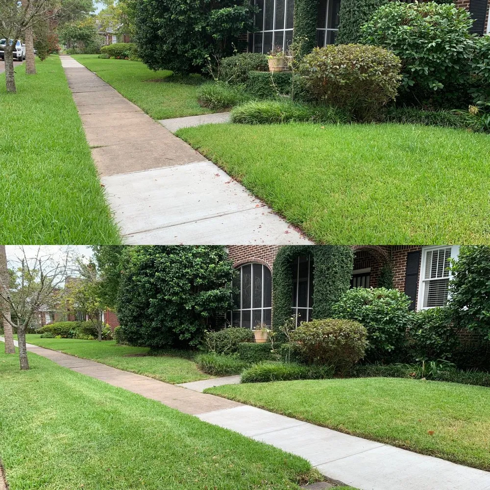 Reliable residential landscaping experts serving Savannah, GA - Native Ground Landscaping