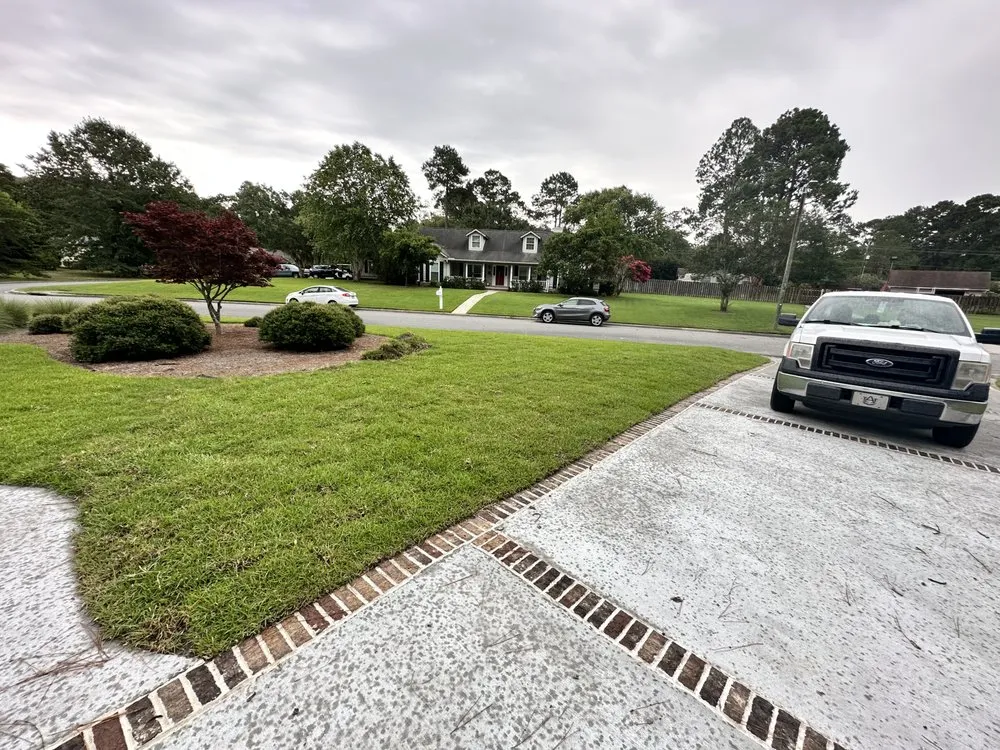 Expert landscaping services in Savannah, GA by Native Ground Landscaping