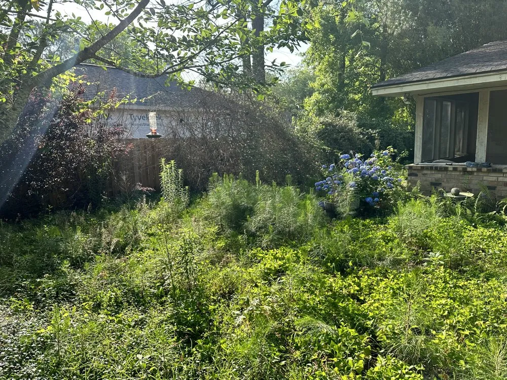 Professional residential landscaping for outdoor upgrades in Savannah, GA by Native Ground Landscaping