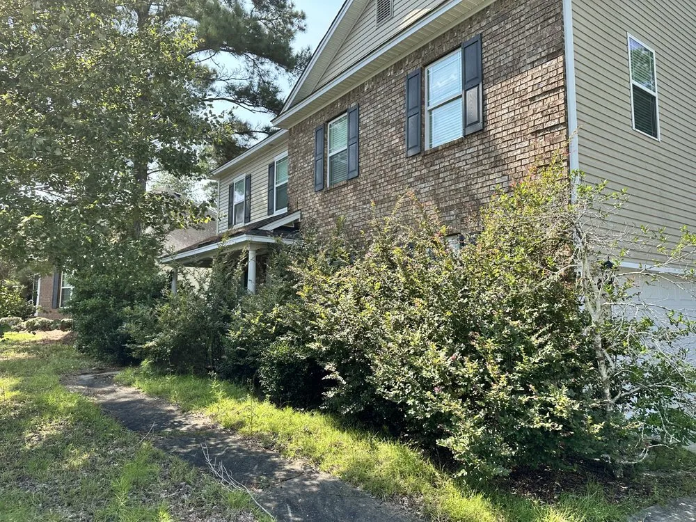 Local garden landscaping for year-round maintenance in Savannah, GA by Native Ground Landscaping