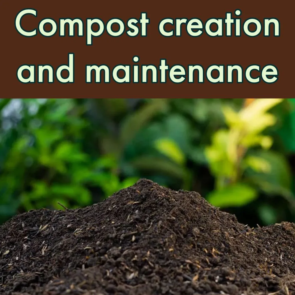 Reliable yard maintenance experts serving Haddam, CT - Native Habitats