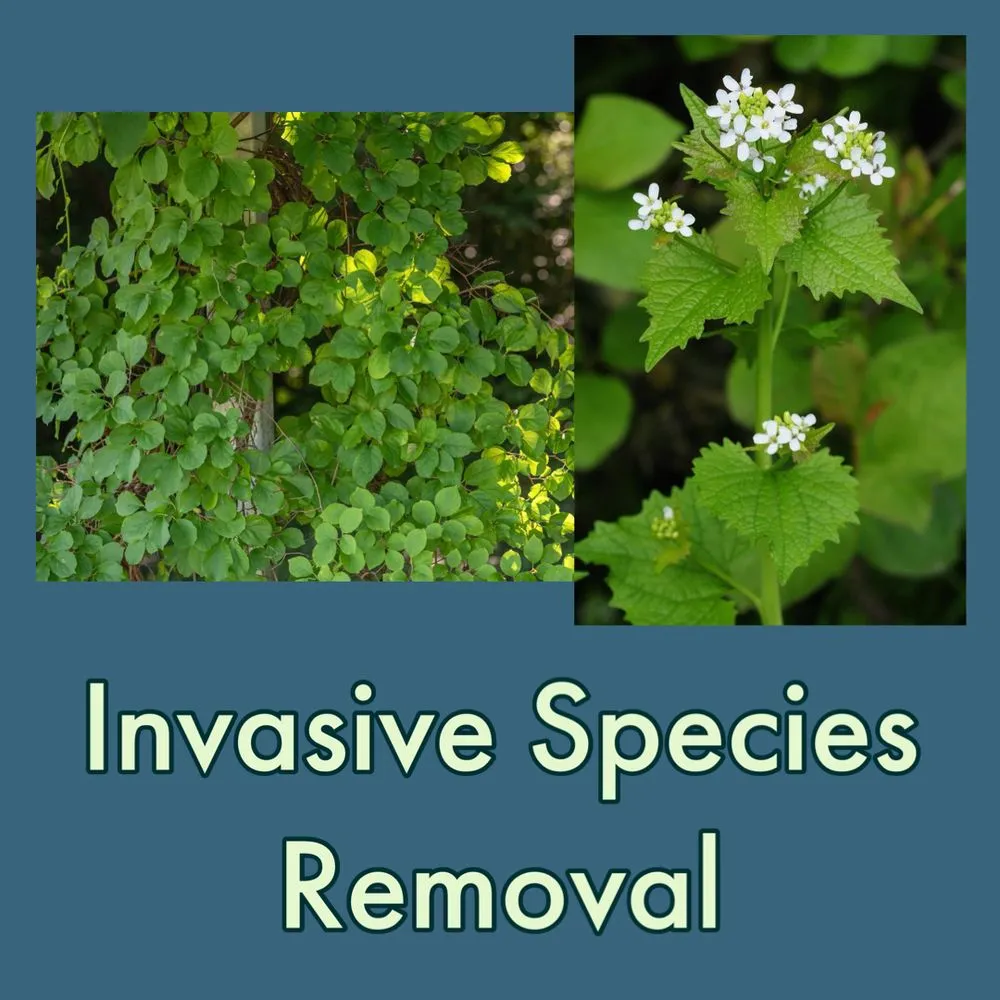Top-rated yard maintenance for year-round maintenance across Haddam, CT - Native Habitats