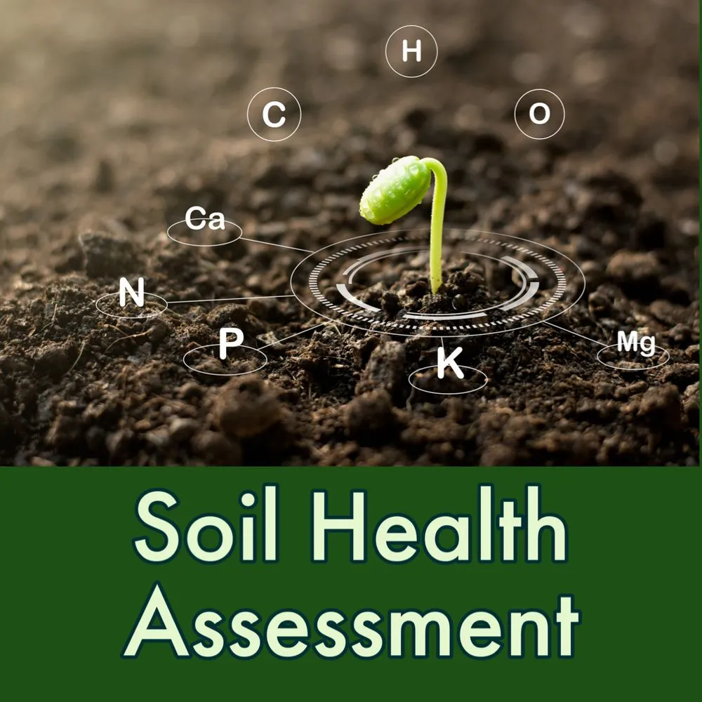 Trusted lawn care service in Haddam, CT by Native Habitats