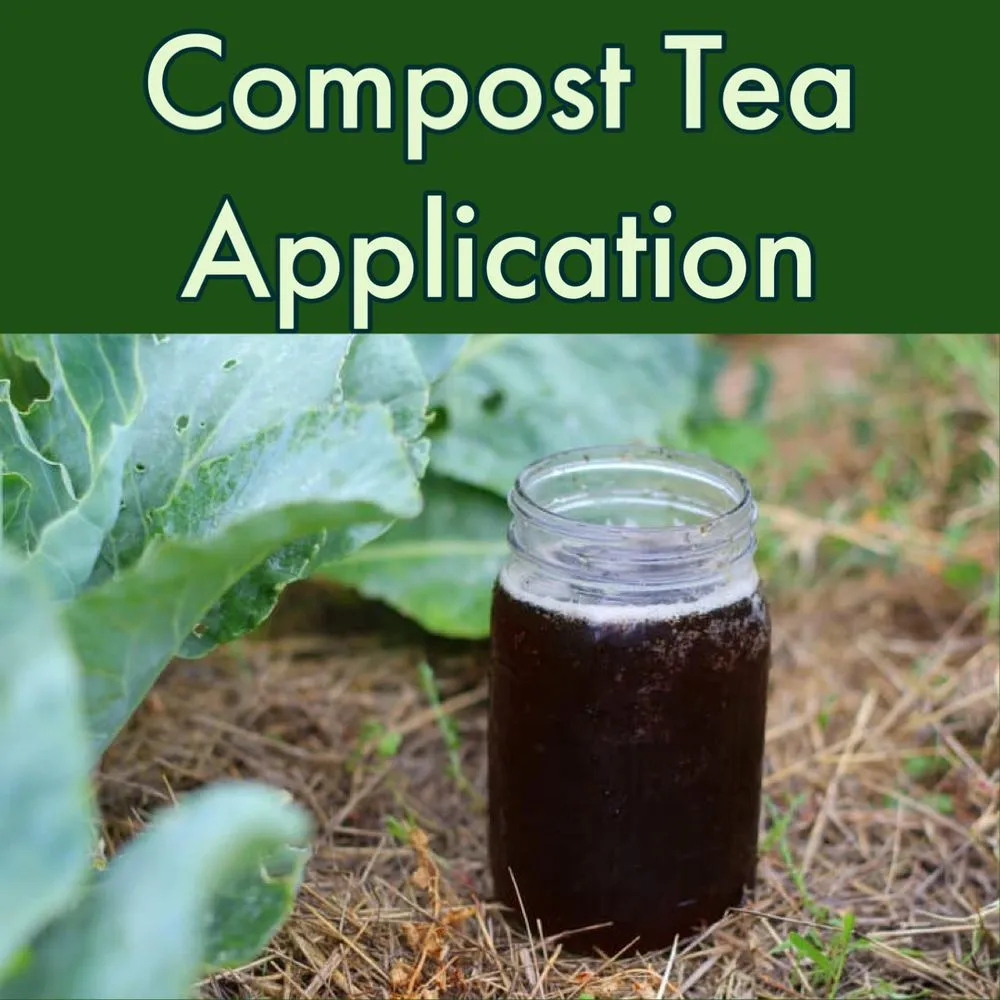 Custom landscaping services experts serving Haddam, CT - Native Habitats