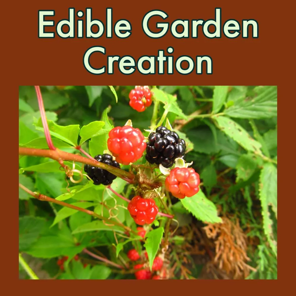 Top-rated lawn care service with custom design across Haddam, CT - Native Habitats