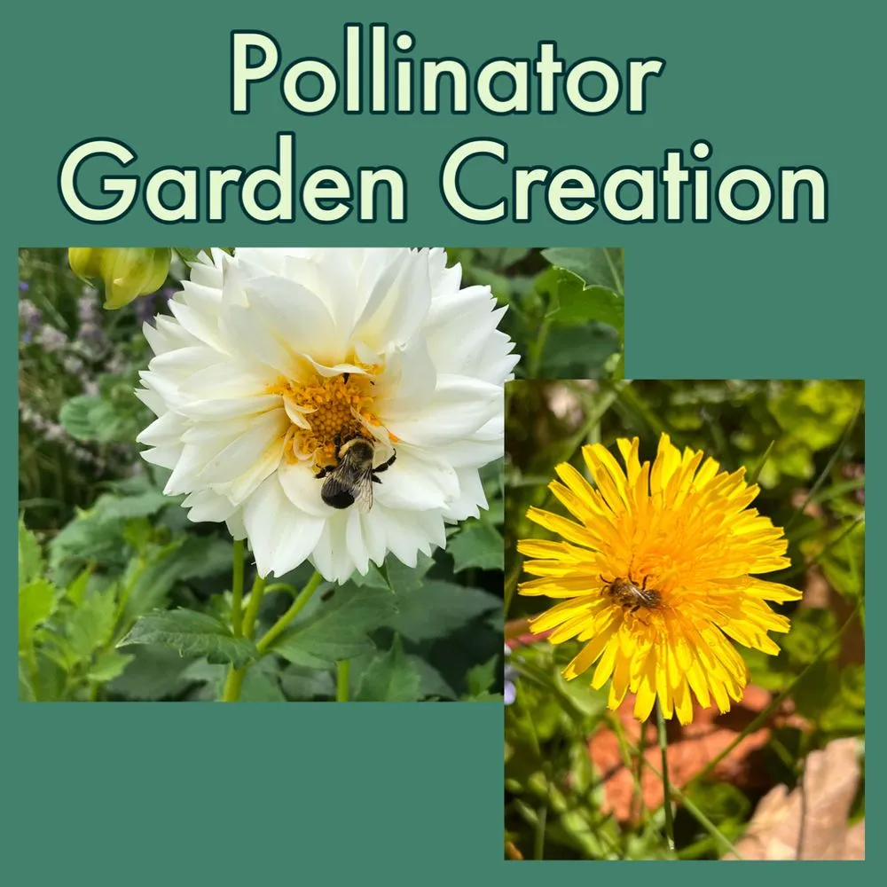 Expert garden landscaping experts serving Haddam, CT - Native Habitats