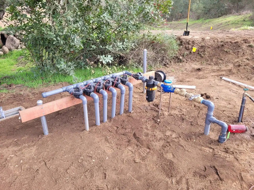 Expert outdoor landscaping experts serving Newmarket, NH - Native Habitats