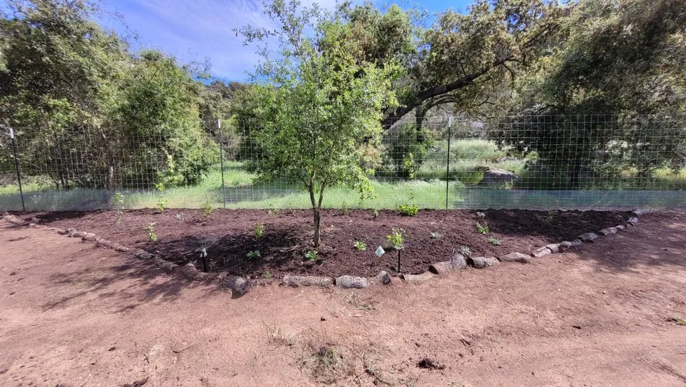 Professional landscape installation for outdoor upgrades in Newmarket, NH by Native Habitats