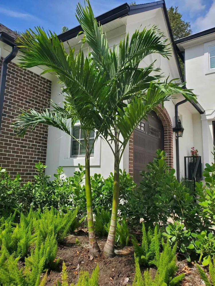 Reliable residential landscaping in St. Petersburg, FL - Native Jungle