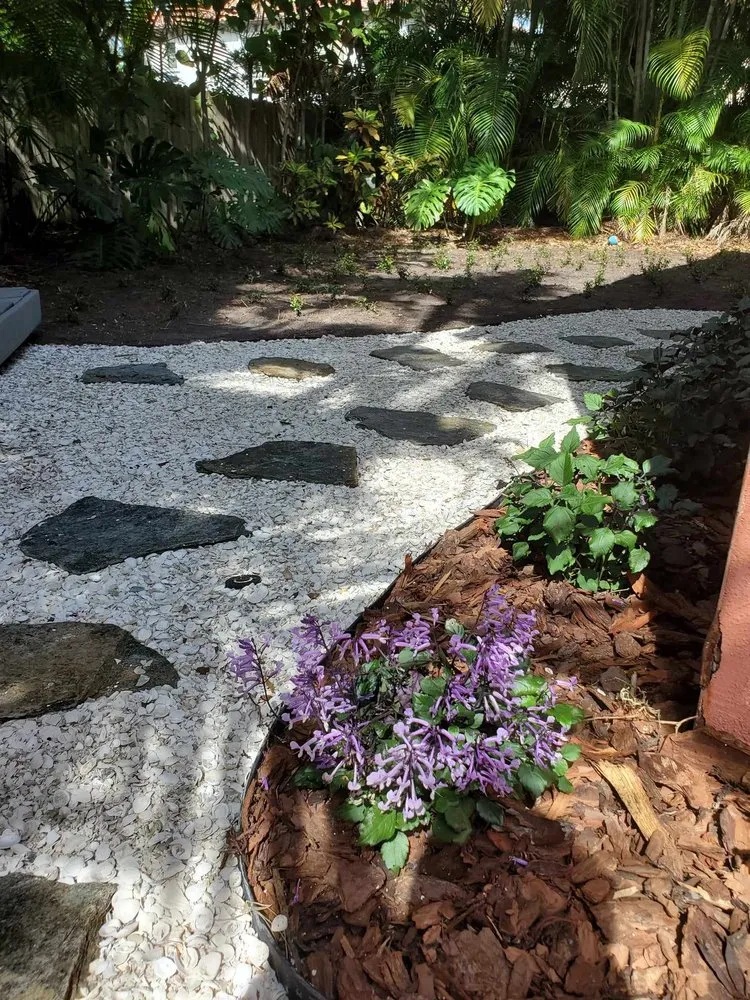 Trusted lawn care service near you in St. Petersburg, FL by Native Jungle