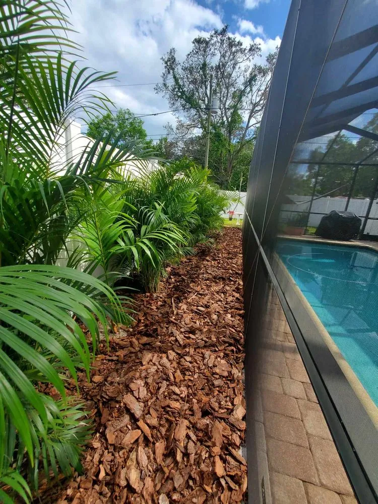 Affordable landscaping services in St. Petersburg, FL by Native Jungle