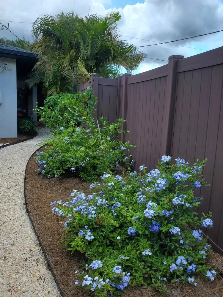 Expert landscape design with custom design across St. Petersburg, FL - Native Jungle