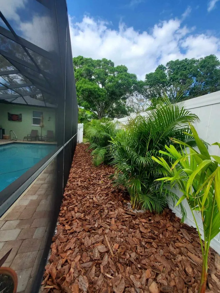 Professional garden landscaping experts serving St. Petersburg, FL - Native Jungle