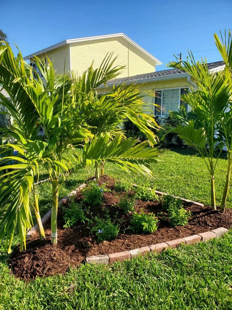 Custom residential landscaping for year-round maintenance across St. Petersburg, FL - Native Jungle