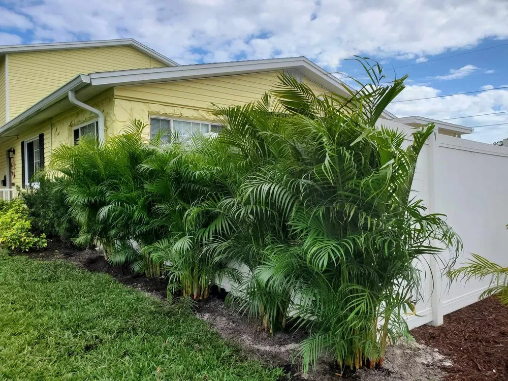 Trusted yard cleanup service for outdoor upgrades in St. Petersburg, FL by Native Jungle