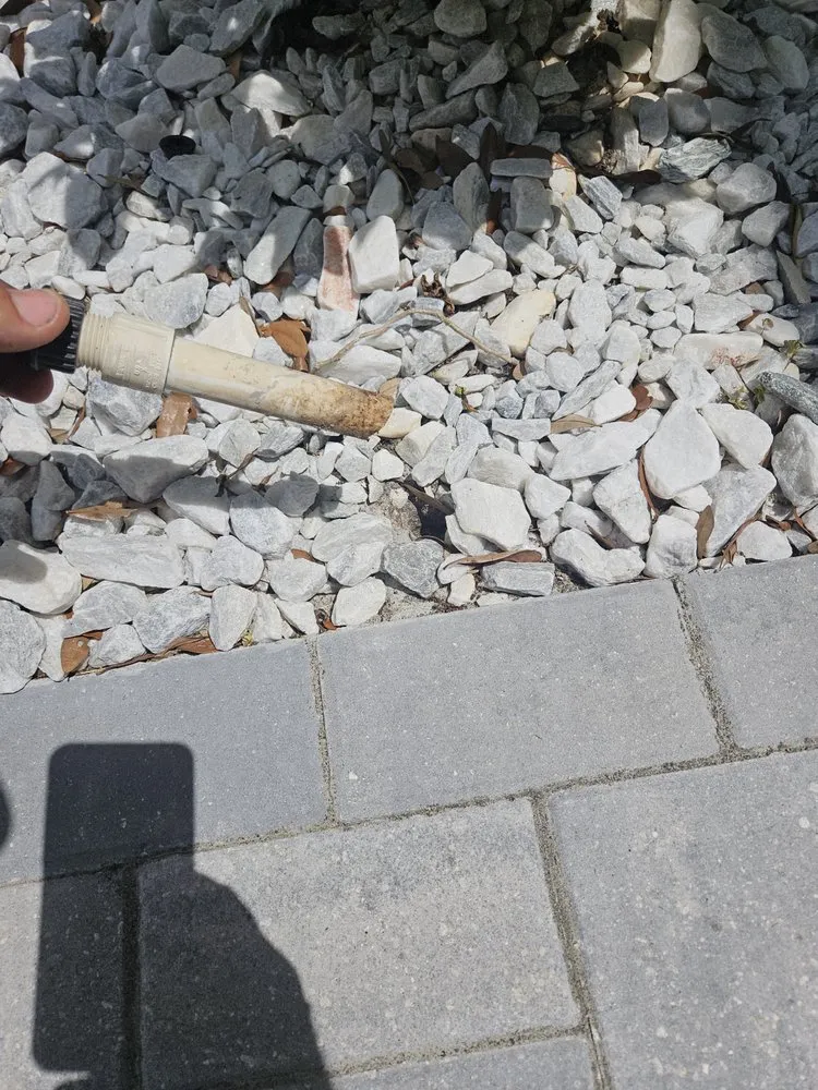 Custom residential landscaping for homes across Brooksville, FL - Native Land and Pool Care