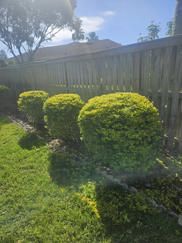 Reliable residential landscaping for beautiful yards in Brooksville, FL by Native Land and Pool Care